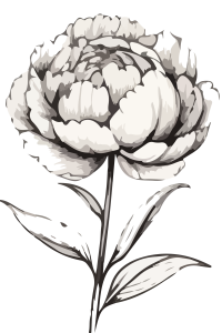 36c99ce7-4d64-4154-b9bd-c9ecf7f5df69-03